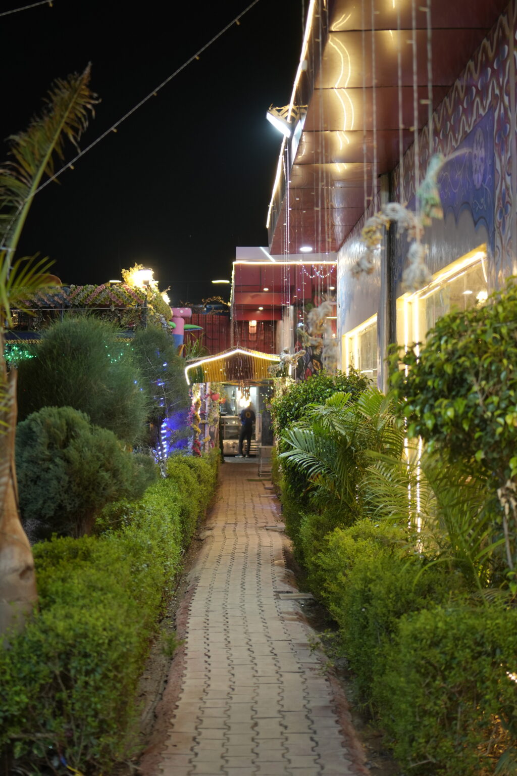 DSC02903.JPG (1)